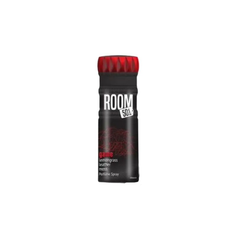 Room 501 Game