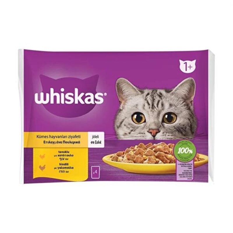 Whiskas Wet Cat Food Pouches: Chicken & Turkey, Healthy Coat & Urinary Support, Complete Nutrition