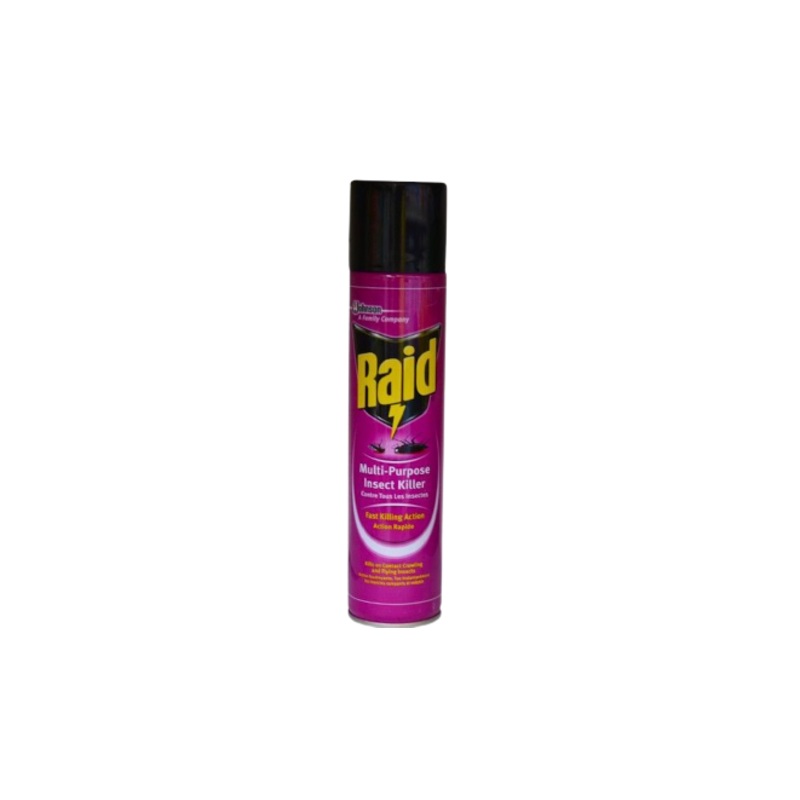 Raid Multi Purpose Insect Killer 300ML